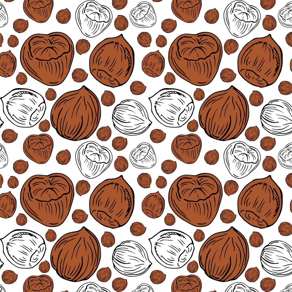 Seamless vector pattern with linear outline hazelnut. Sketches of nuts in vintage style