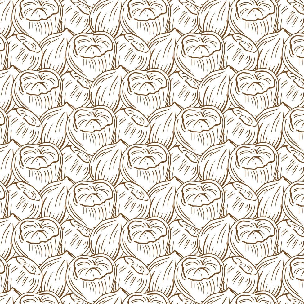 Seamless vector pattern with linear outline hazelnut. Sketches of nuts in vintage style