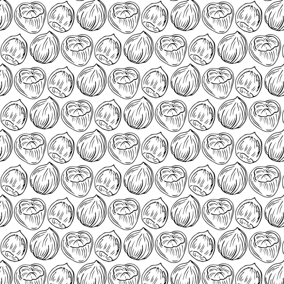 Seamless vector pattern with linear outline hazelnut. Sketches of nuts in vintage style