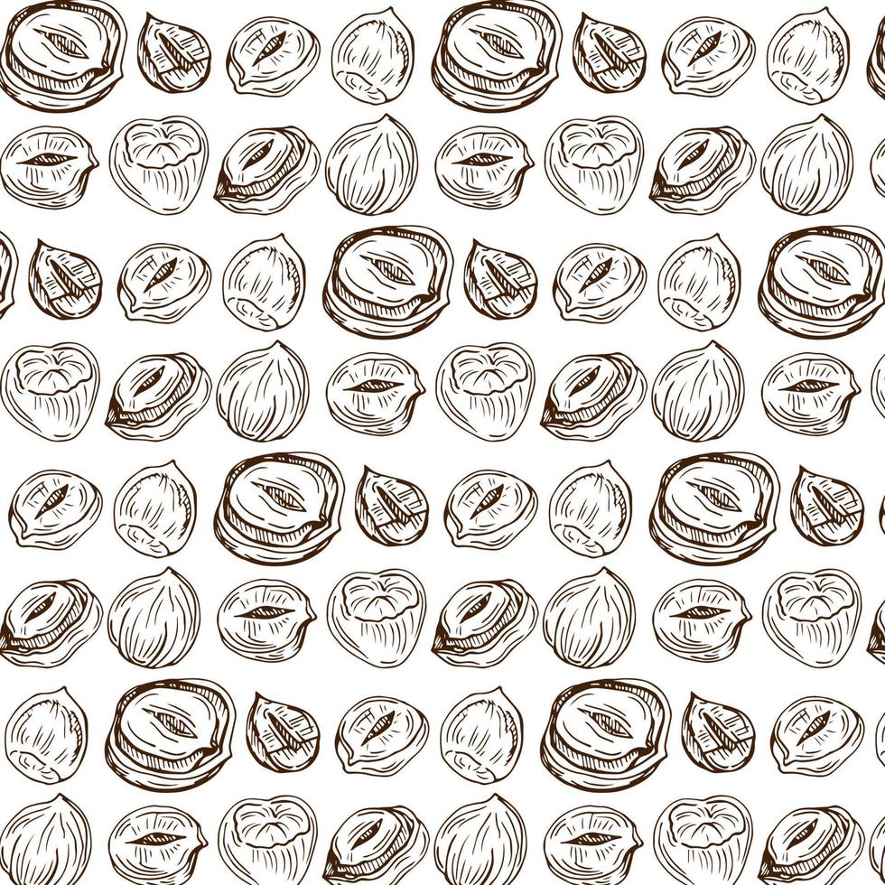 Seamless vector pattern with linear outline hazelnut. Sketches of nuts in vintage style