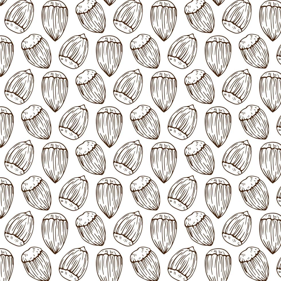 patrón vectorial sin costuras con avellana de contorno lineal. bocetos de nueces en estilo vintage vector