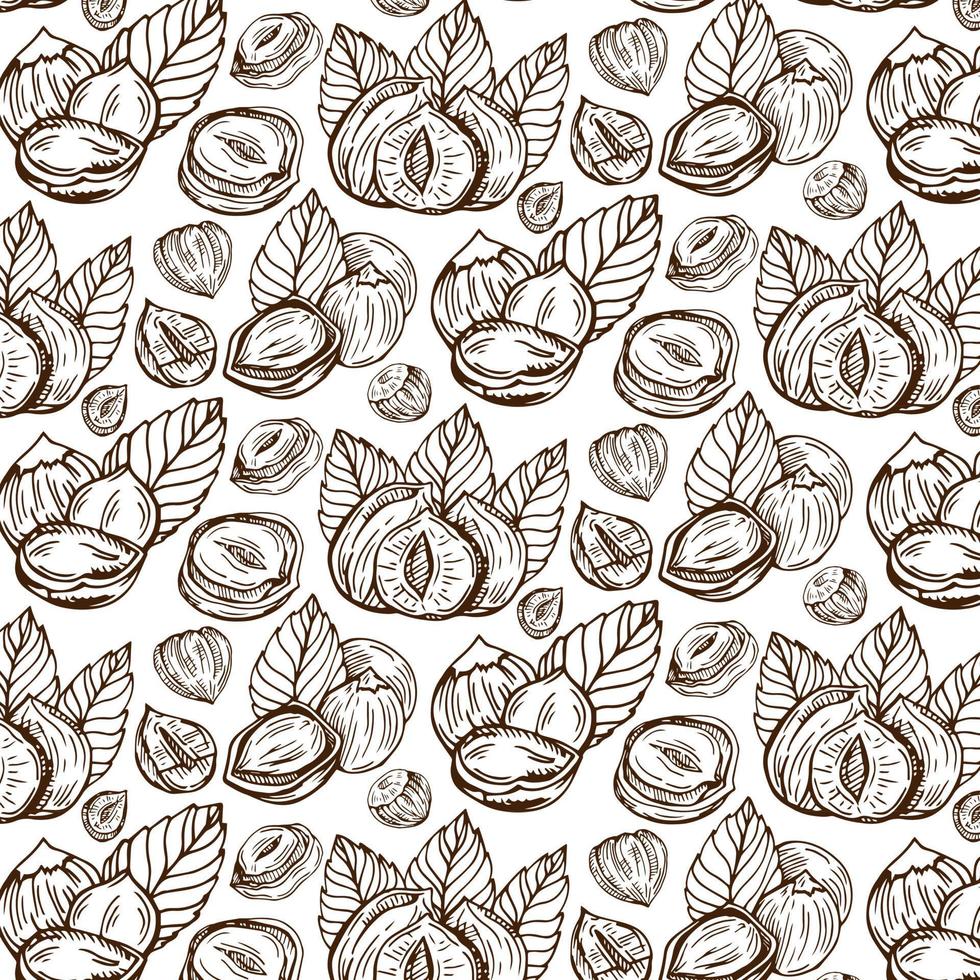 Seamless vector pattern with linear outline hazelnut. Sketches of nuts in vintage style