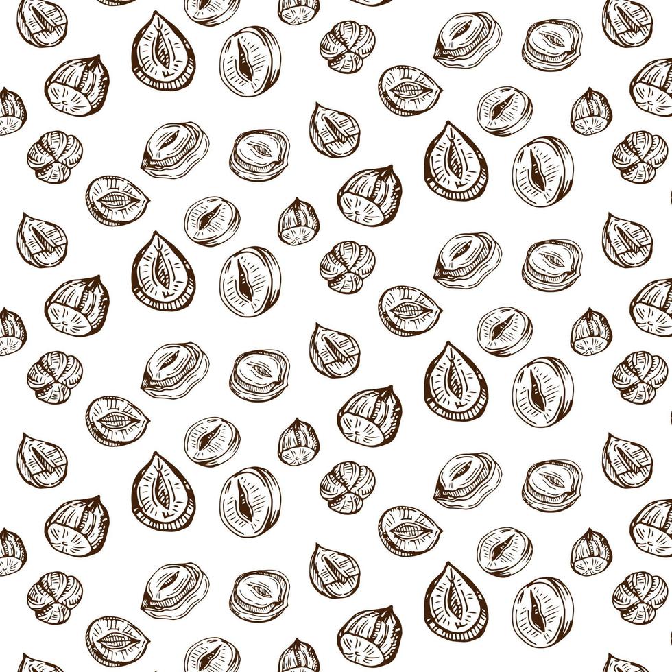 Seamless vector pattern with linear outline hazelnut. Sketches of nuts in vintage style