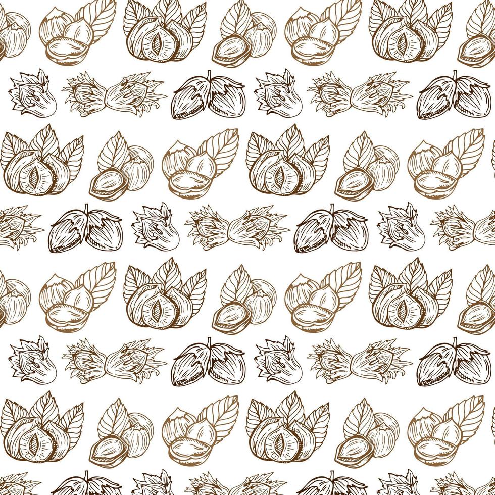 Seamless vector pattern with linear outline hazelnut. Sketches of nuts in vintage style