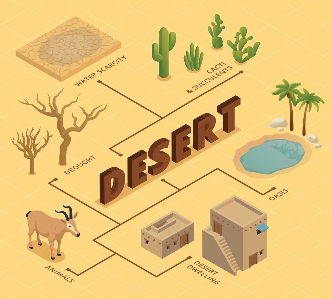 Desert Isometric Flowchart vector