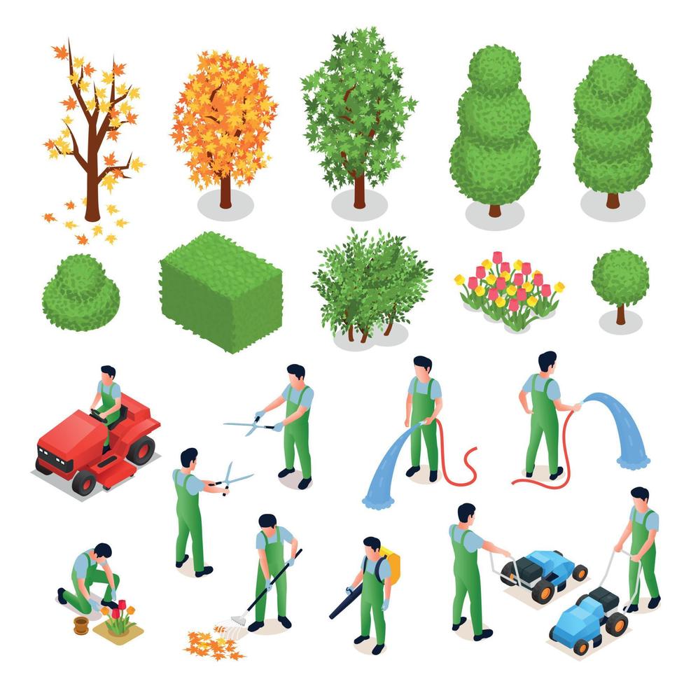 iconos isométricos de jardinería profesional vector