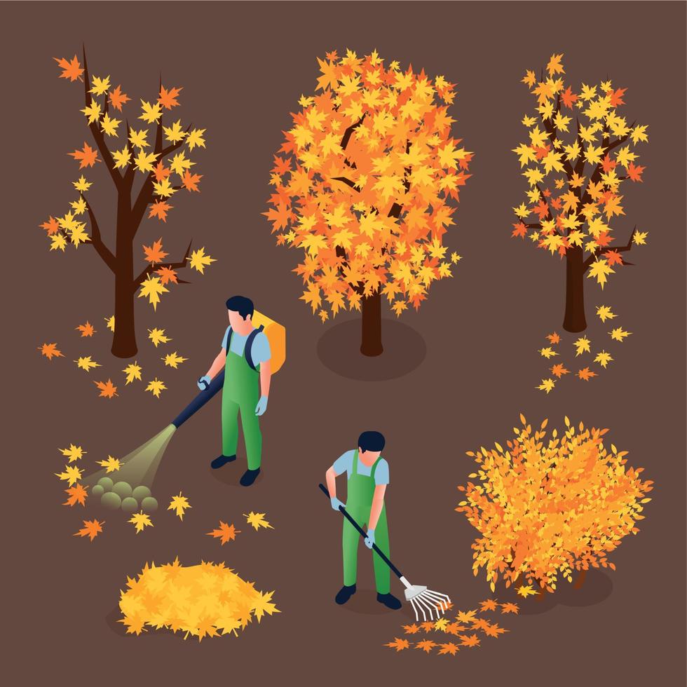 limpieza de follaje de otoño ilustración isométrica vector