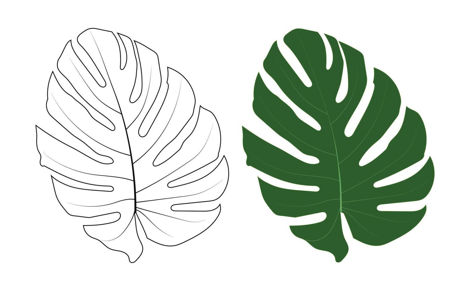 Tropical botanic wild leaves green and black line vector