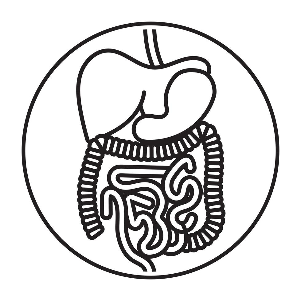 Rounded the human digestive system organs line art vector icon for apps and websites