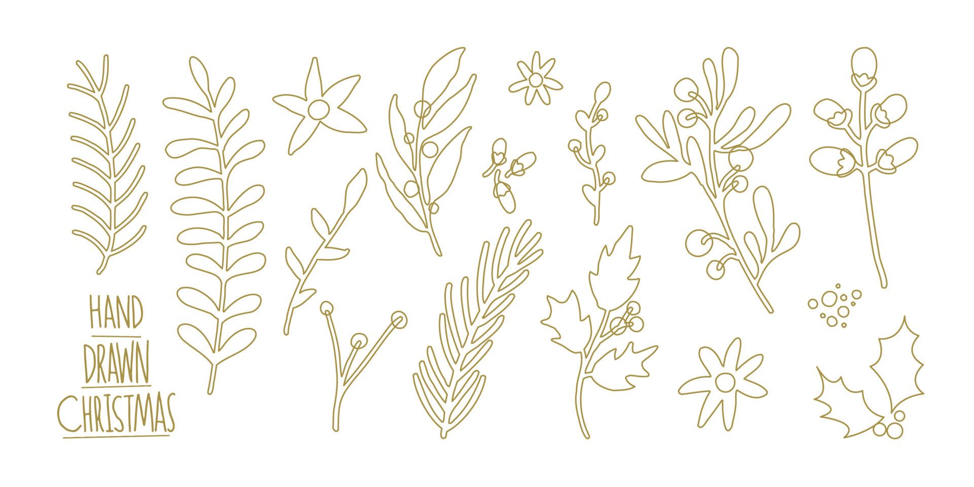 Hand drawn vector winter floral elements. Winter branches and