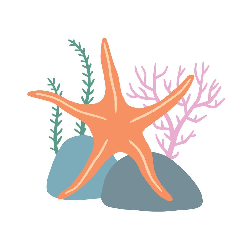 Starfish on seabed with rocks and algae. vector