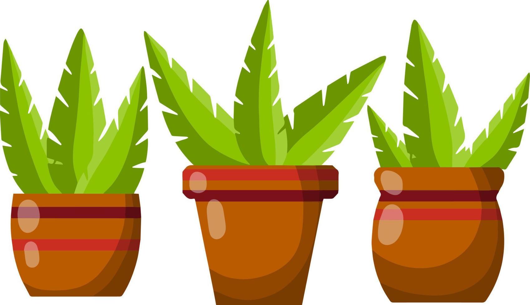 Pot of a house plant. Set of Brown flowerpot. Green leaves and gardening. Decoration for home. Cartoon flat illustration vector