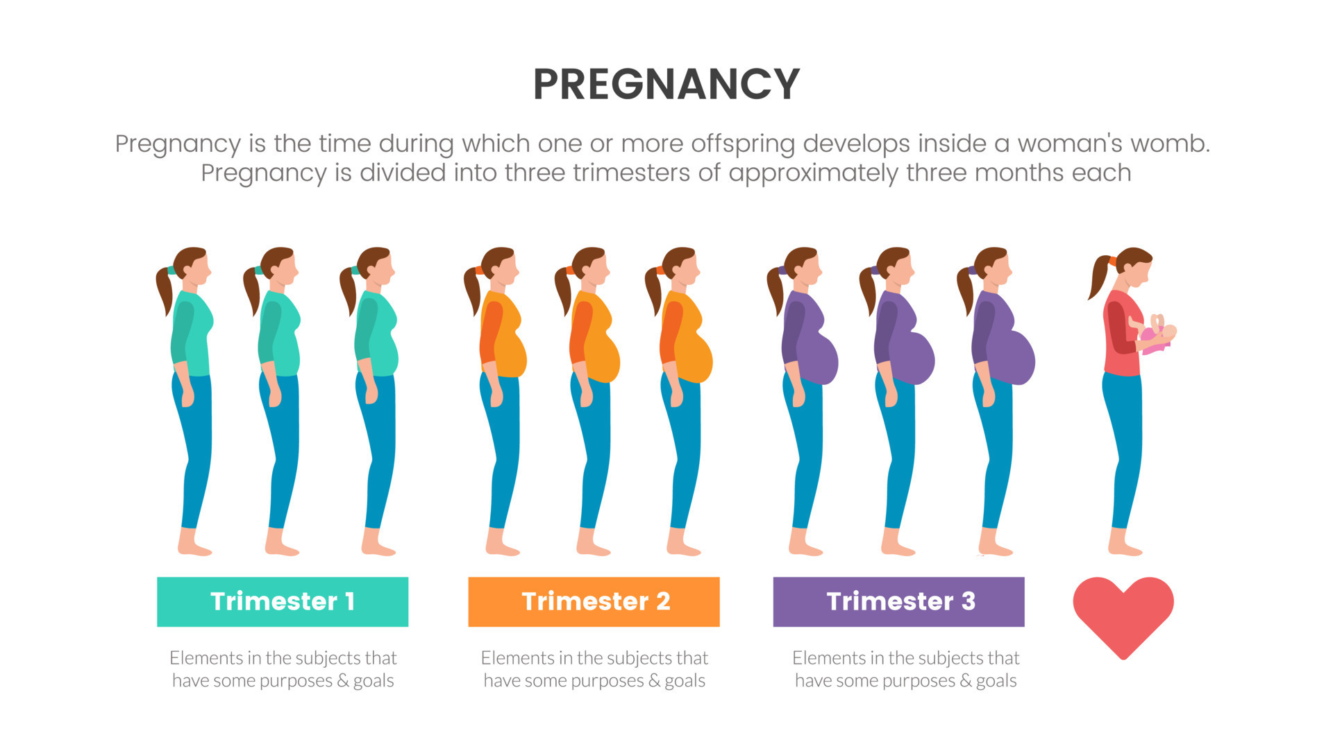 Pregnancy infographic concept for slide presentation with 3 point list
