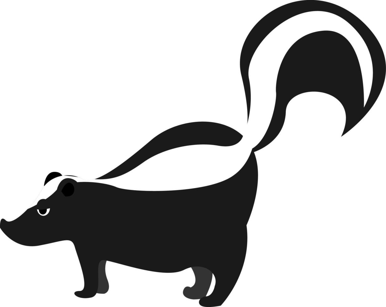 Skunk, illustration, vector on white background.