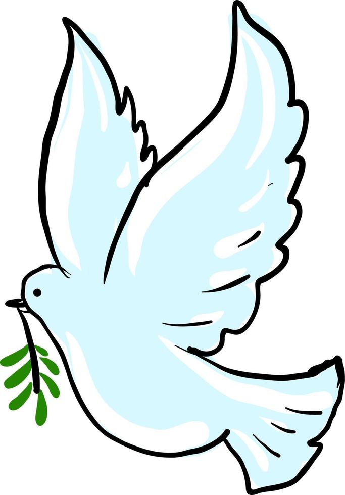 Dove carrying olive branch, illustration, vector on white background.