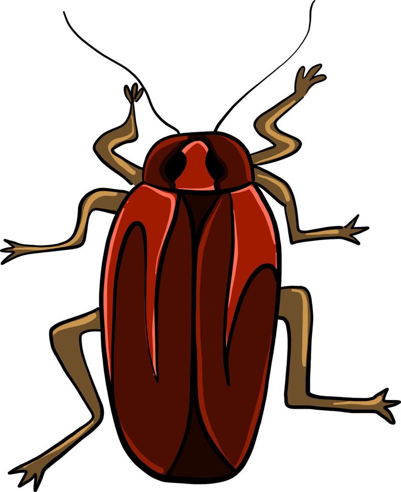 Red cockroach , illustration, vector on white background