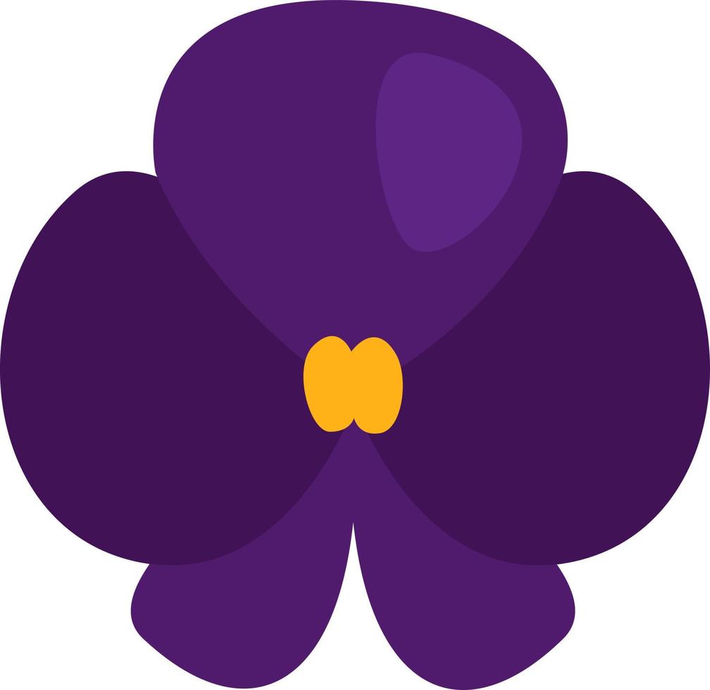 Purple violet flower, illustration, vector, on a white background. vector