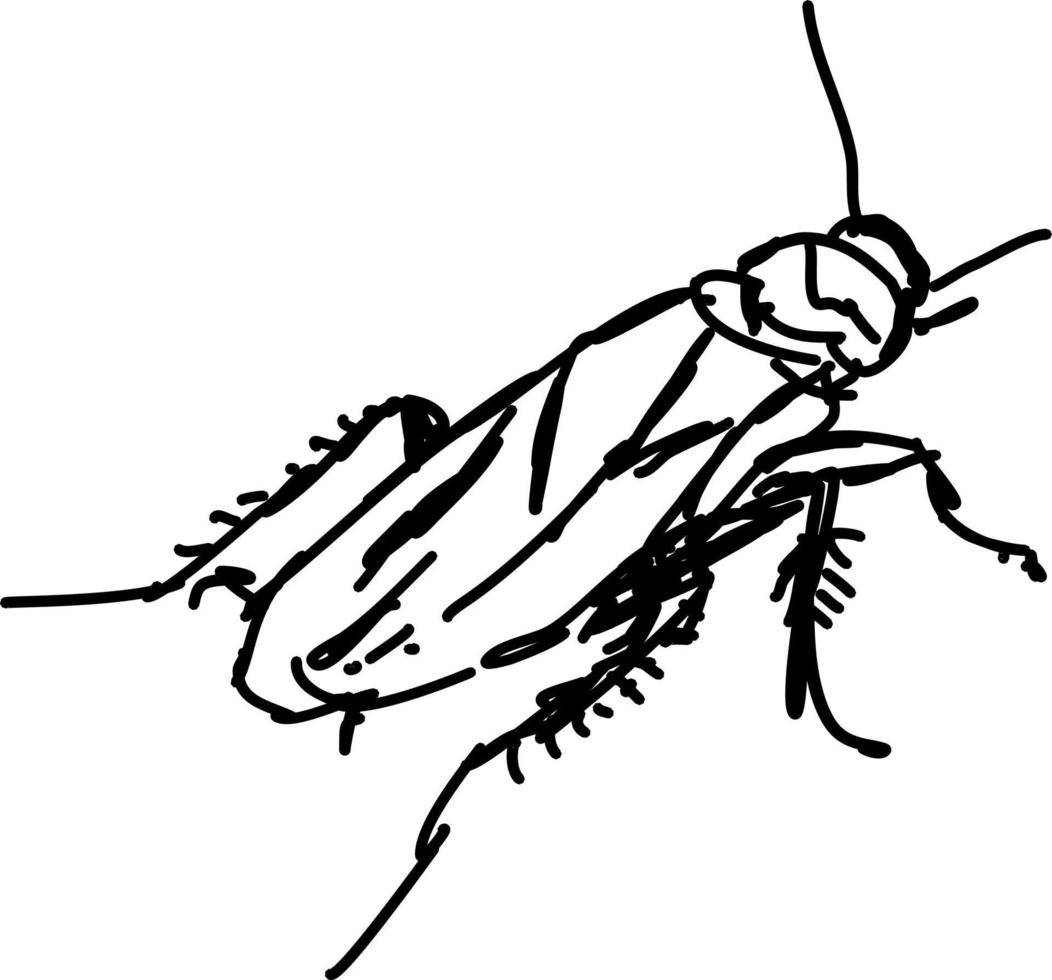 Bug sketch, illustration, vector on white background.