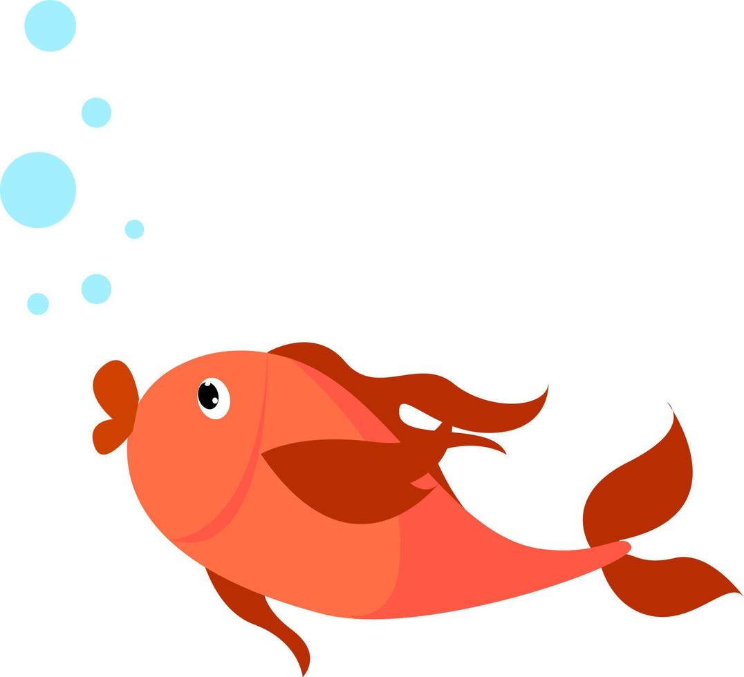 pez rojo, ilustración, vector sobre fondo blanco.