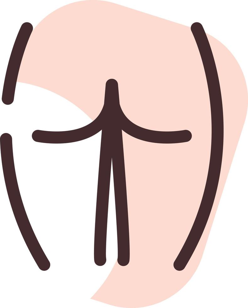 Human ass, illustration, vector on a white background.