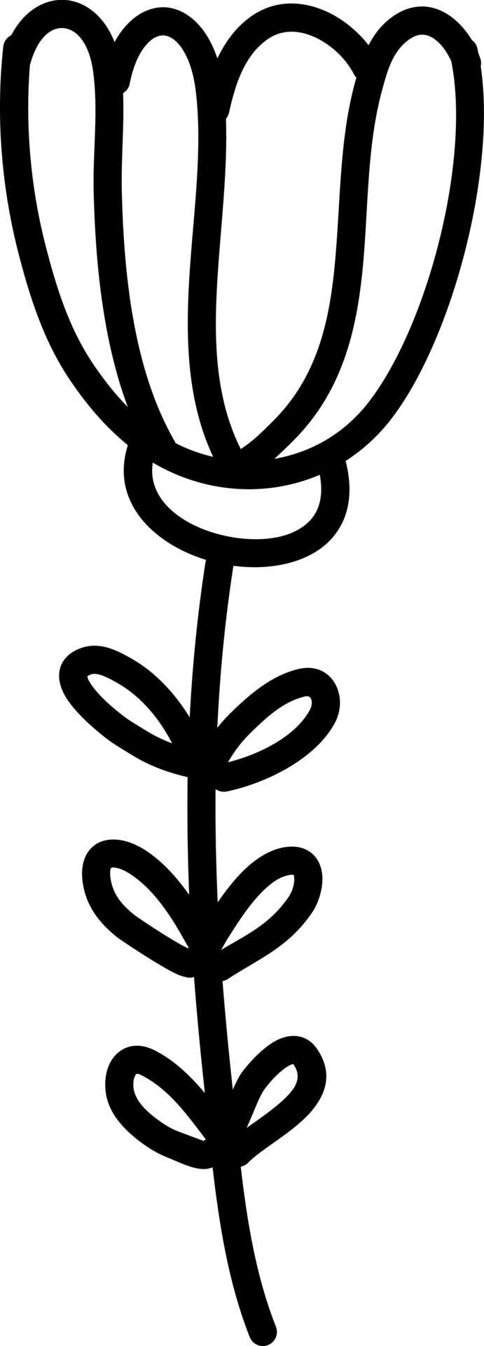 Season flower, illustration, vector on white background. 13571396 ...