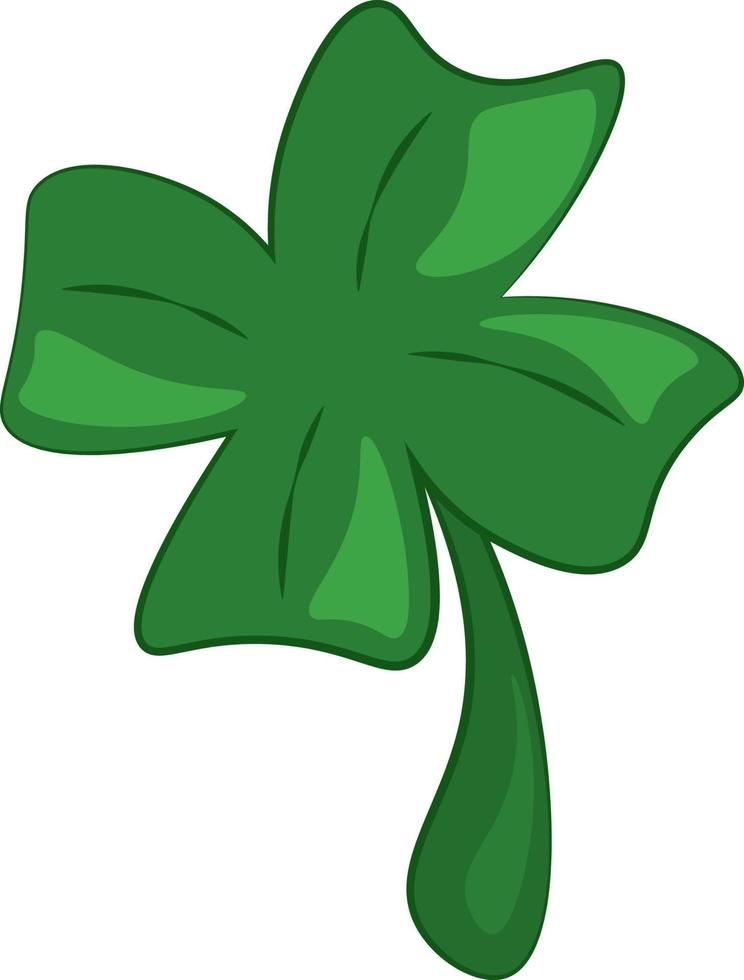 A four leaf clover, vector or color illustration.