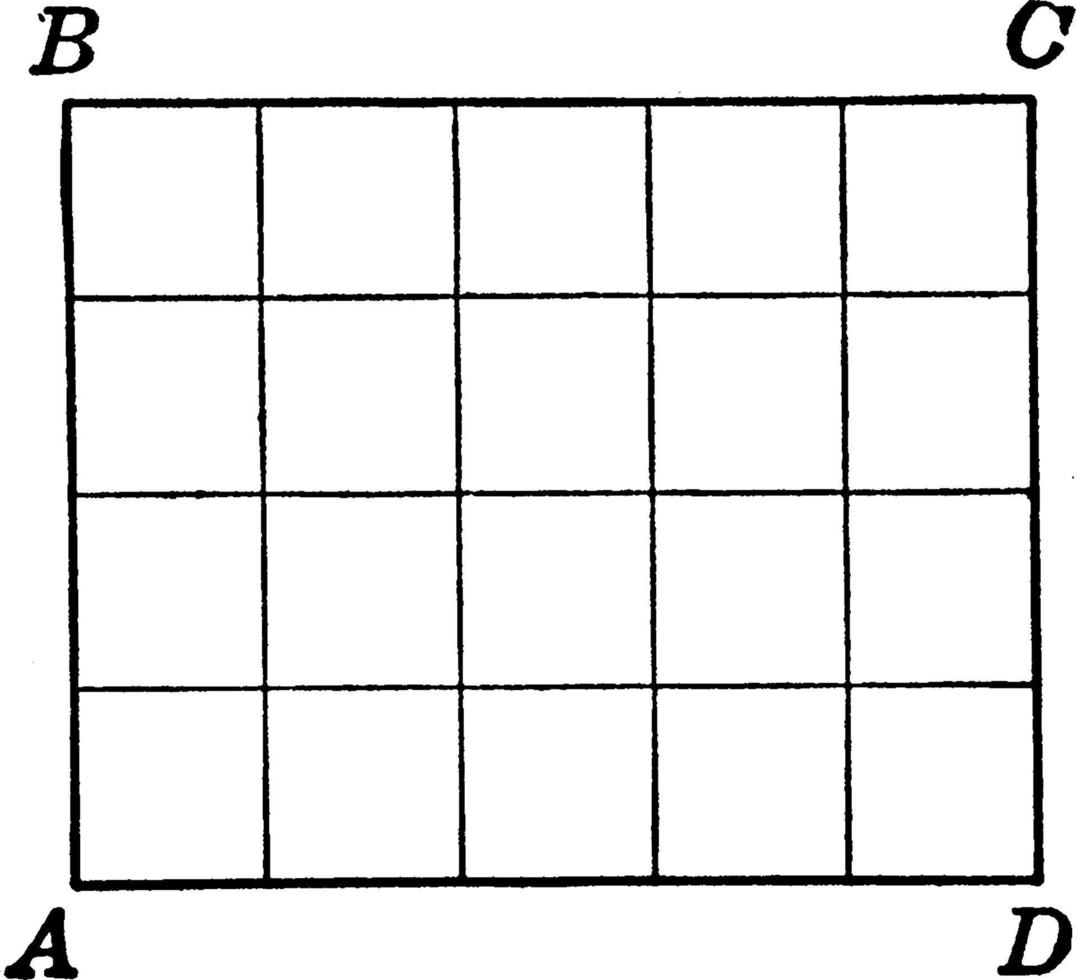 Grid Pattern, vintage illustration. vector