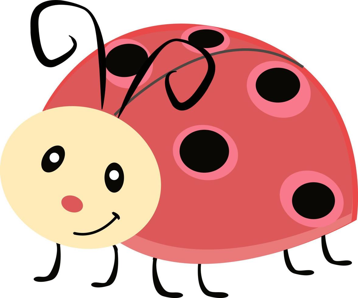 Cute ladybug, illustration, vector on white background.