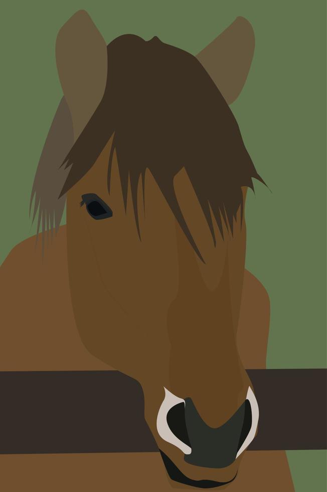 Horses head, illustration, vector on white background.