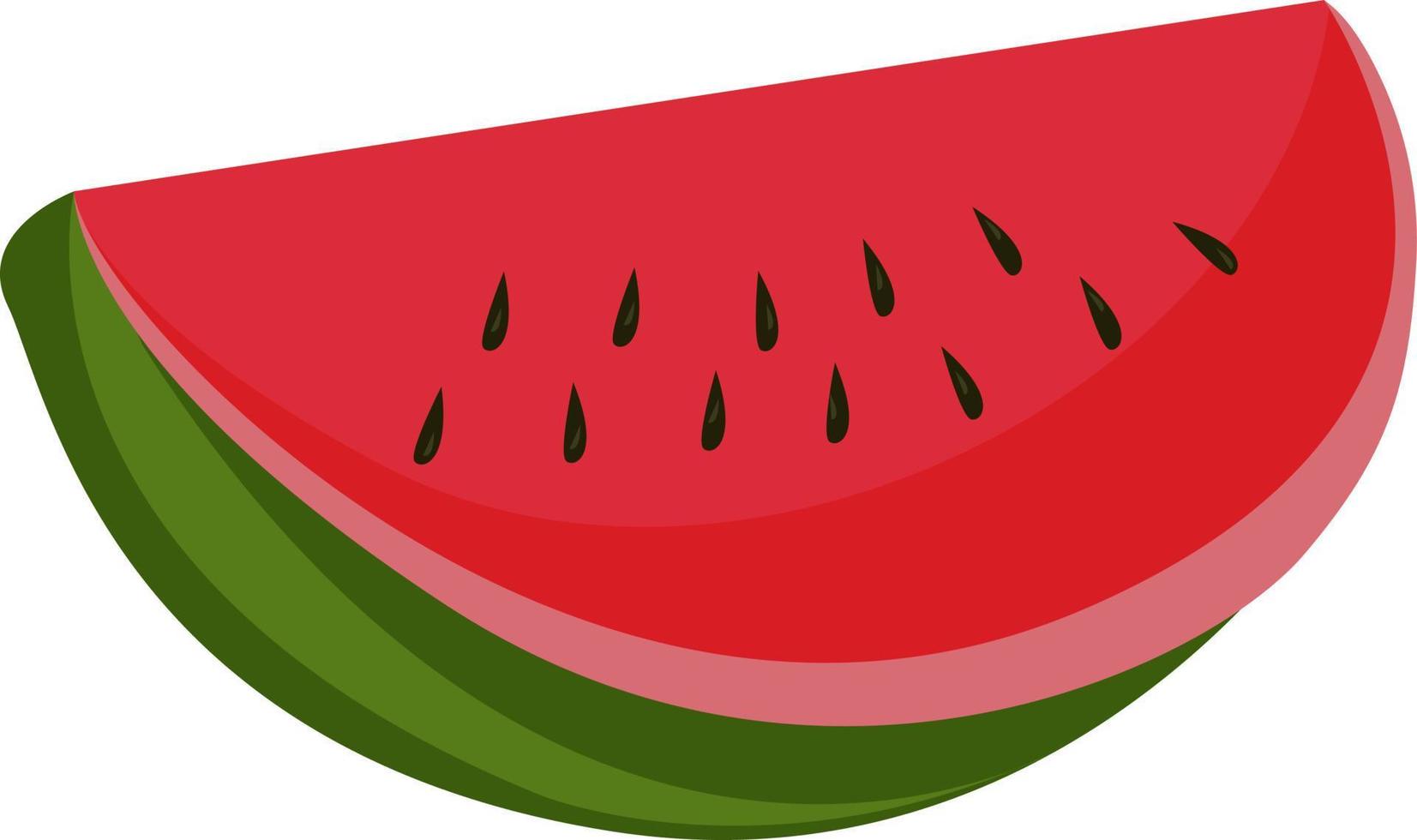 Piece of watermelon, illustration, vector on white background