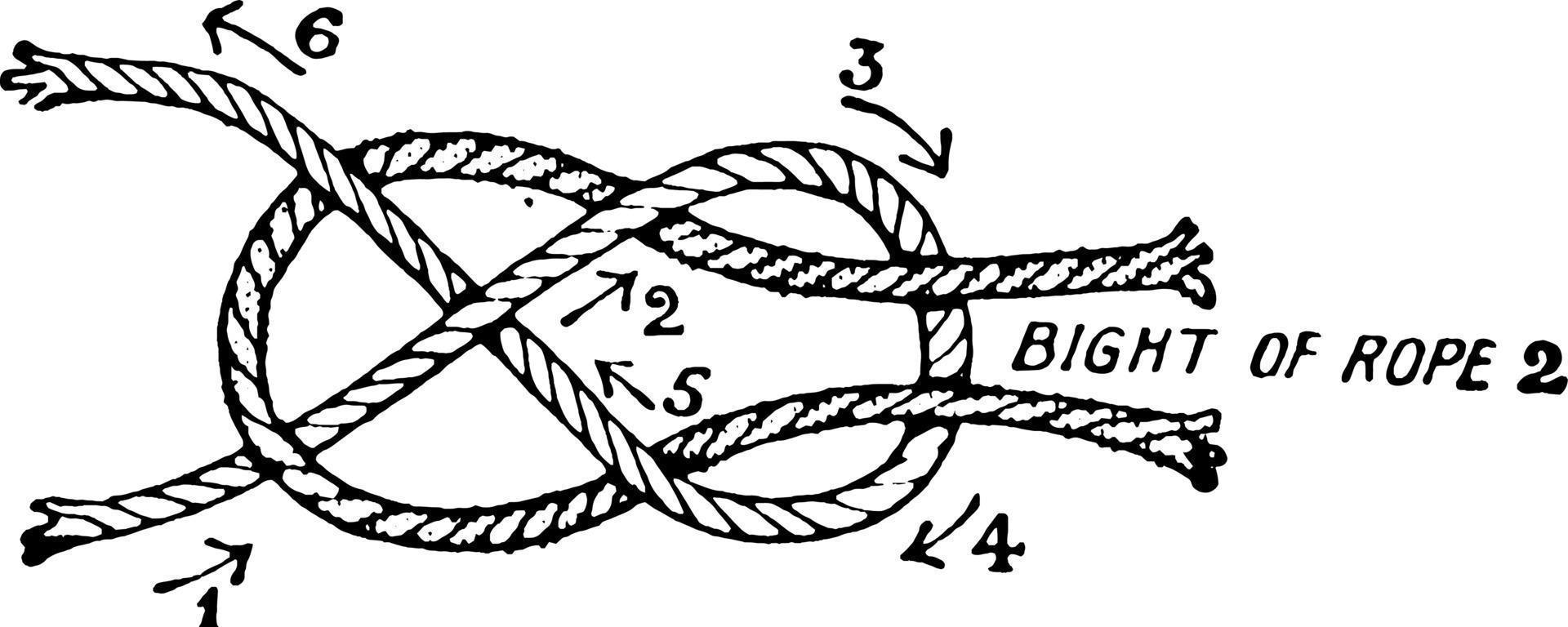 Knots, Common Sheet Bend Connecting Two Ropes, vintage illustration vector