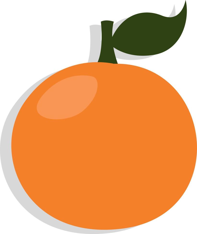 naranja la fruta, ilustración, vector, sobre un fondo blanco. vector
