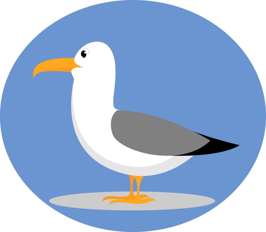 Gaviota, ilustración, vector sobre fondo blanco.