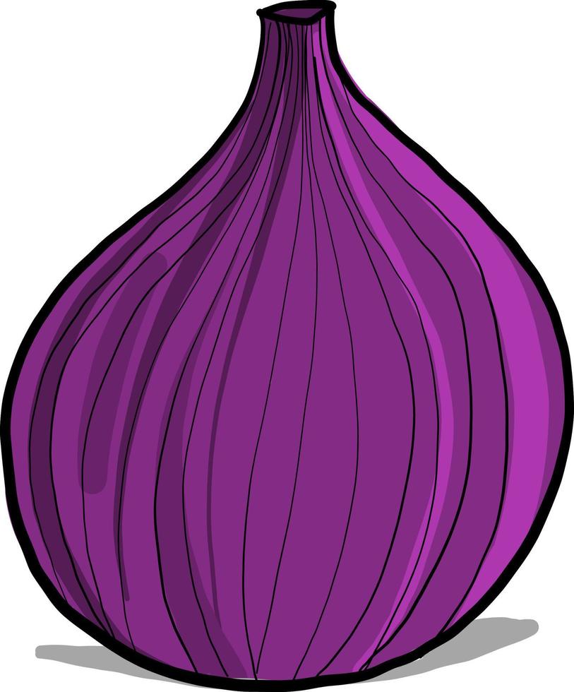 Higo morado fresco, ilustración, vector sobre fondo blanco.