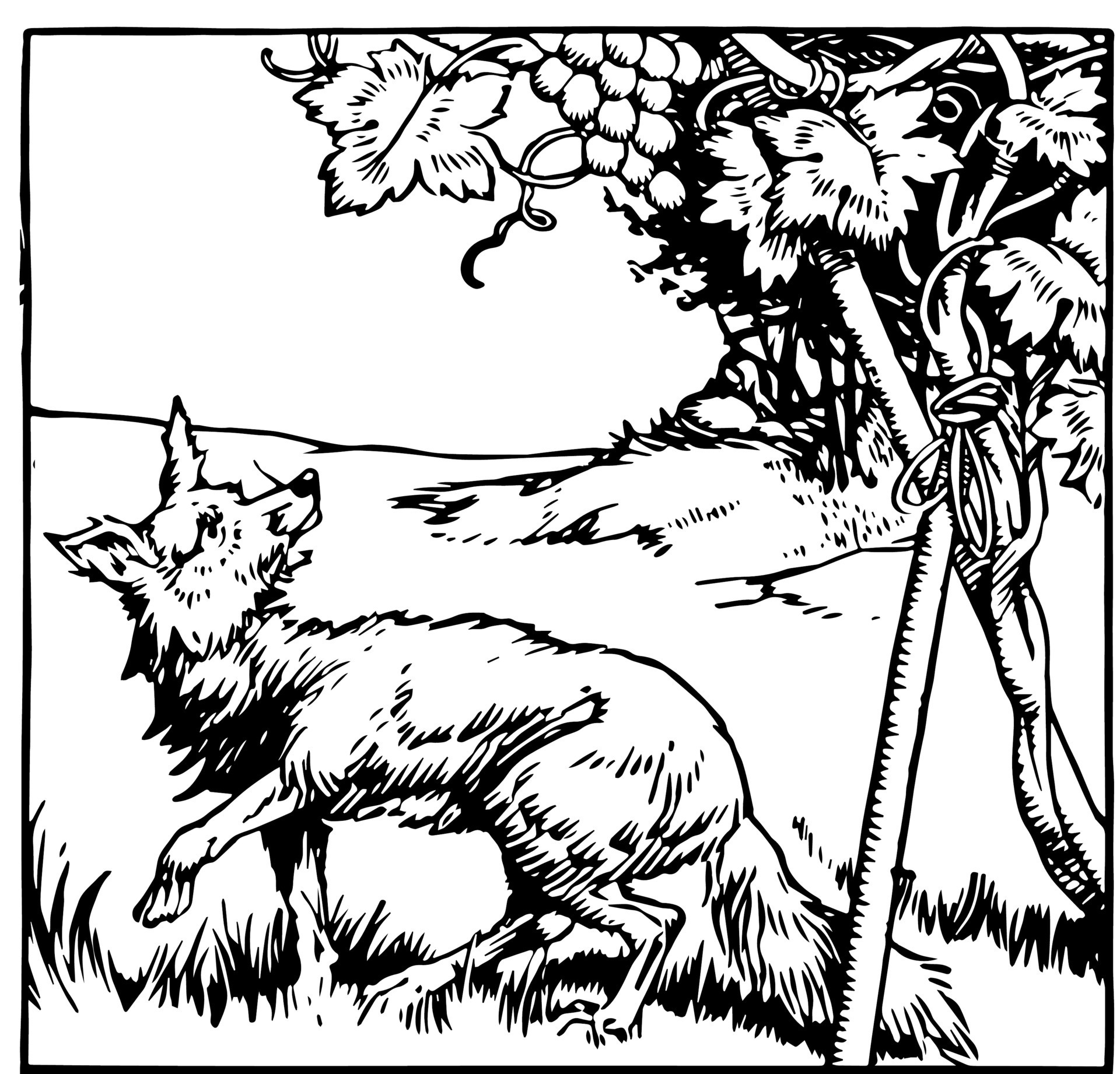 моська раскраска. раскраска басни крылова ворона и лисица. басни крылова раскраски. лиса и виноград эзоп. раскраска басни.