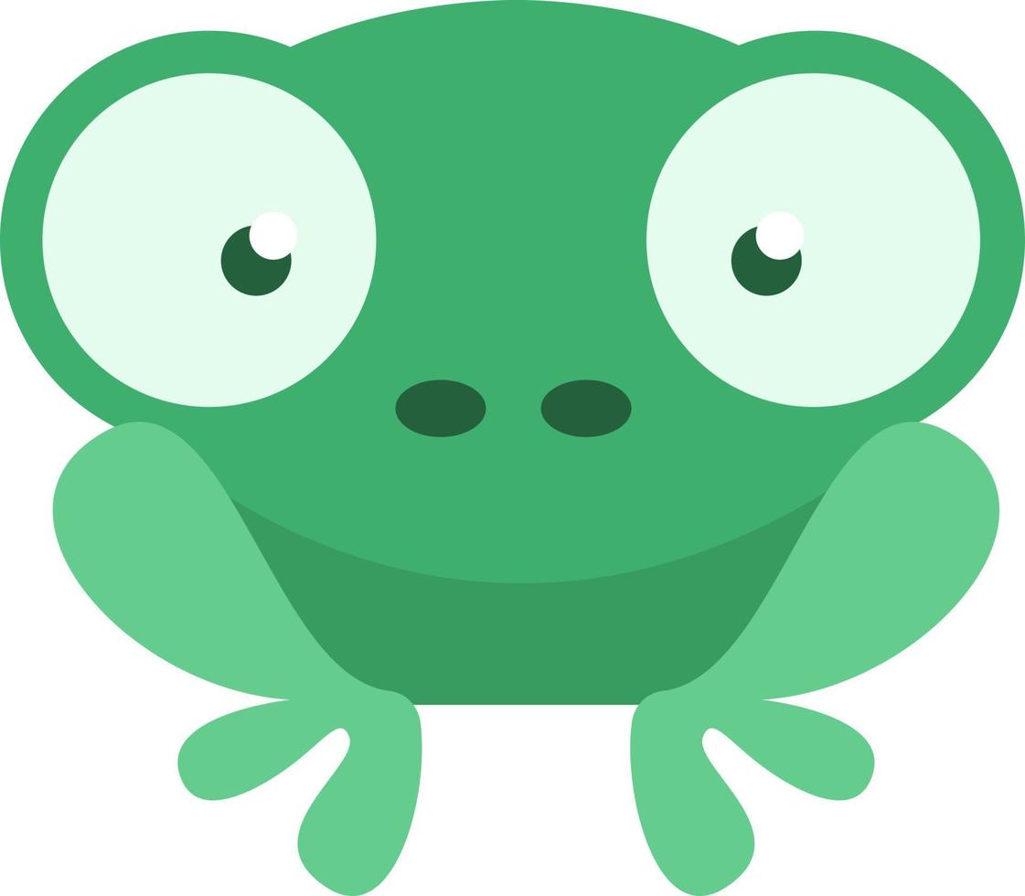rana verde, ilustración, sobre un fondo blanco. vector
