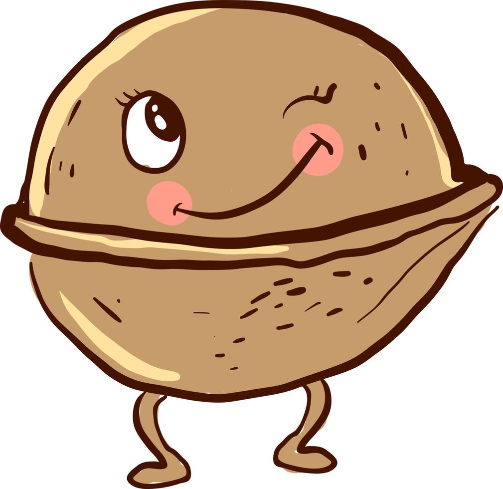 Walnut winkling, illustration, vector on white background.