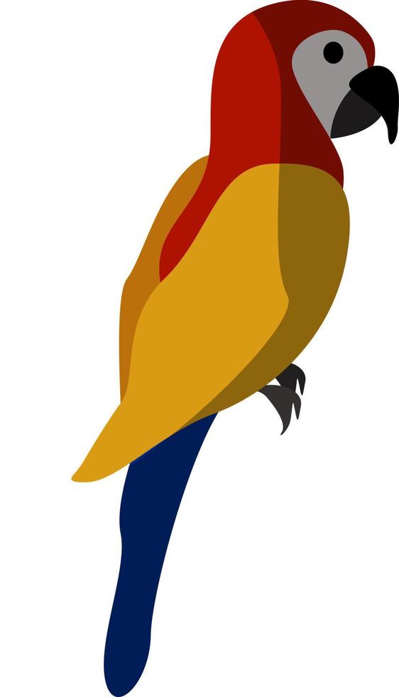 Macaw parrot, illustration, vector on white background.