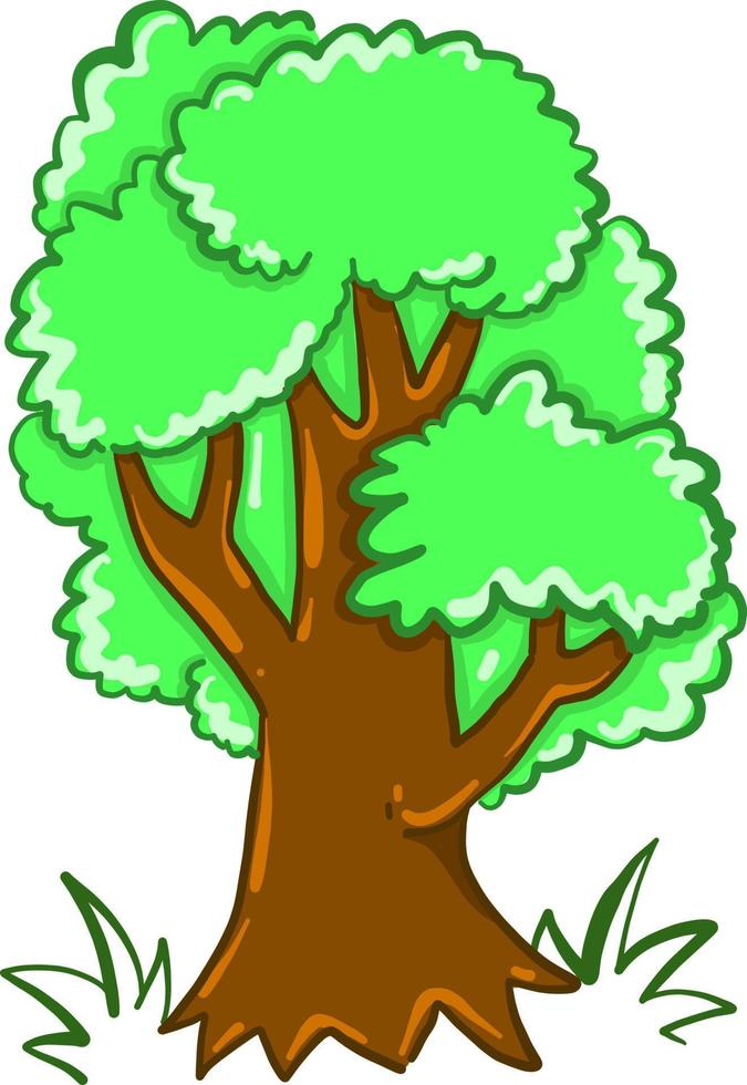 Big green tree , illustration, vector on white background