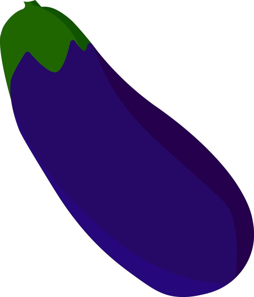 Eggplant, illustration, vector on white background.