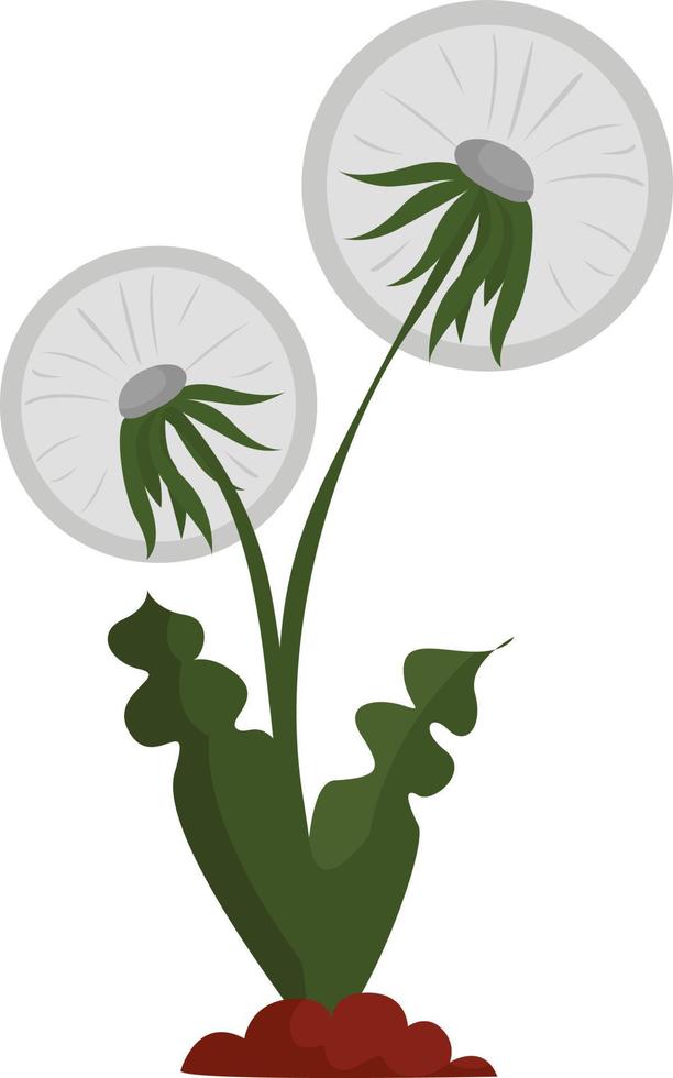 Bonito diente de león, ilustración, vector sobre fondo blanco.