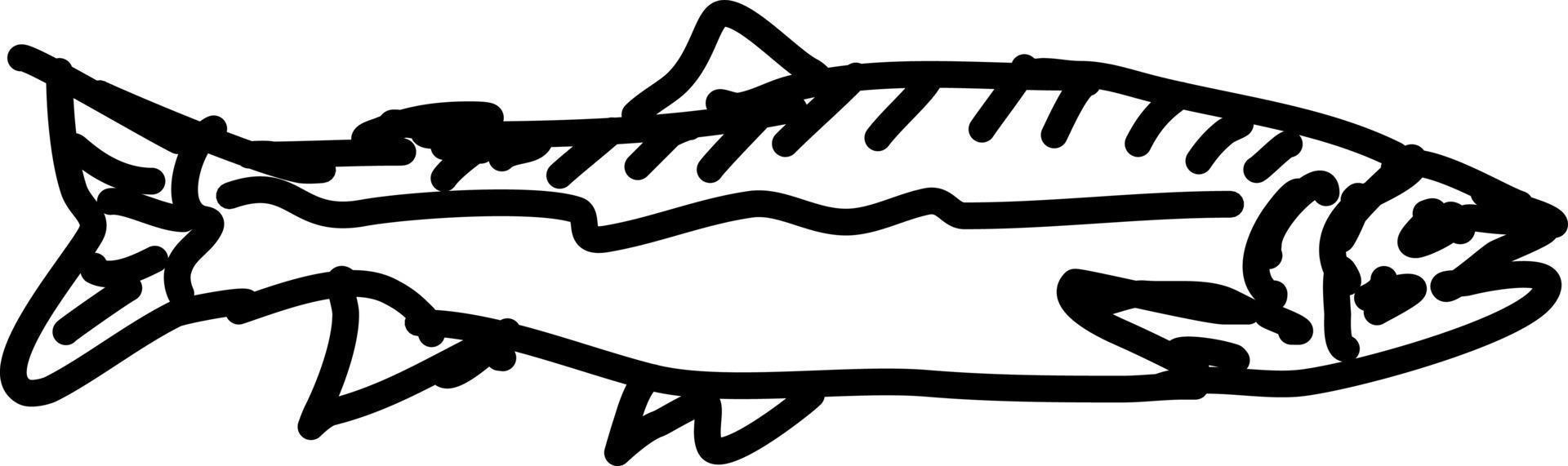 Fish sketch, illustration, vector on white background.