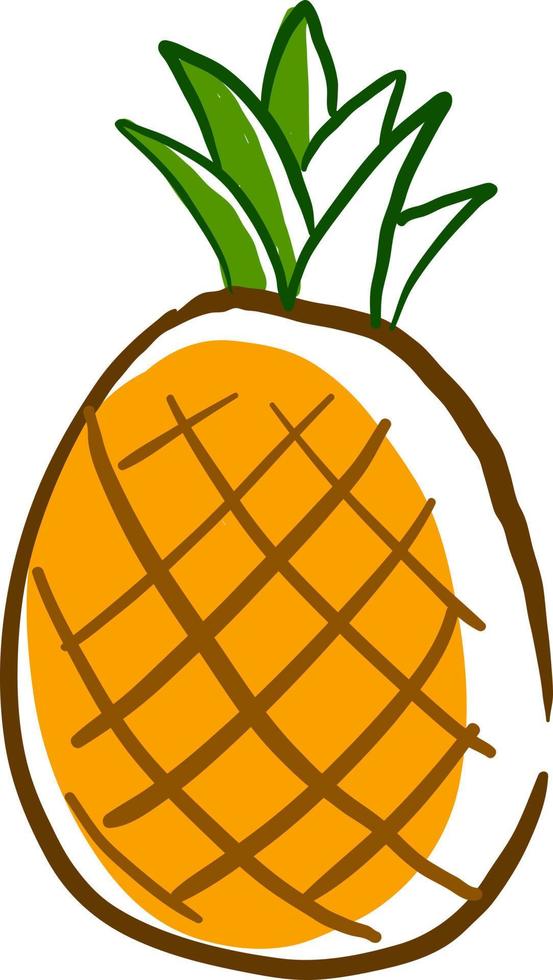 Pineapple drawing, illustration, vector on white background.