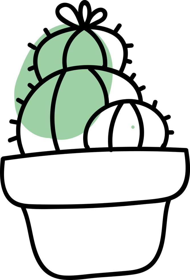 Tres cactus redondos en una olla, ilustración, vector sobre fondo blanco.