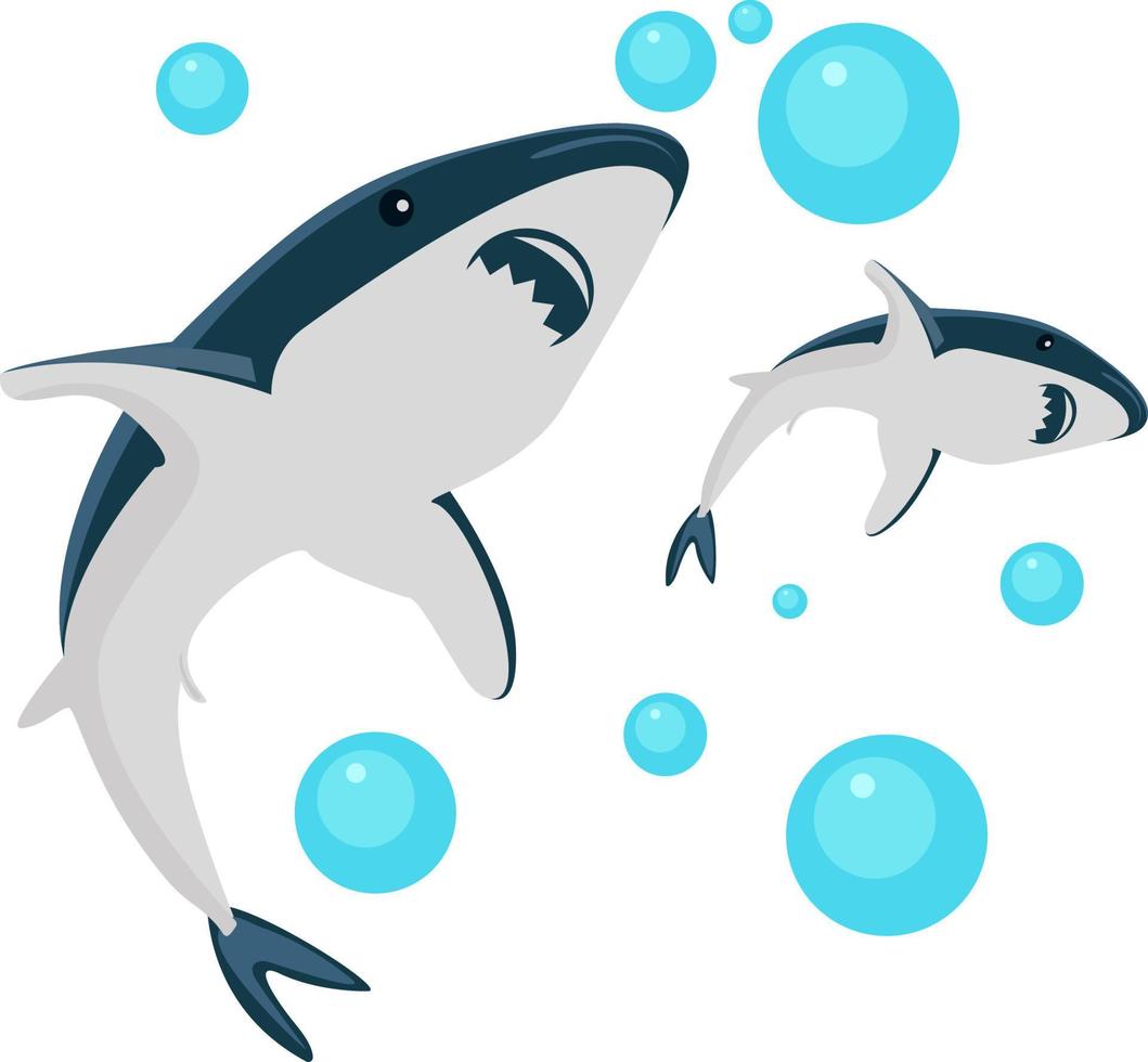 Two sharks ,illustration, vector on white background.