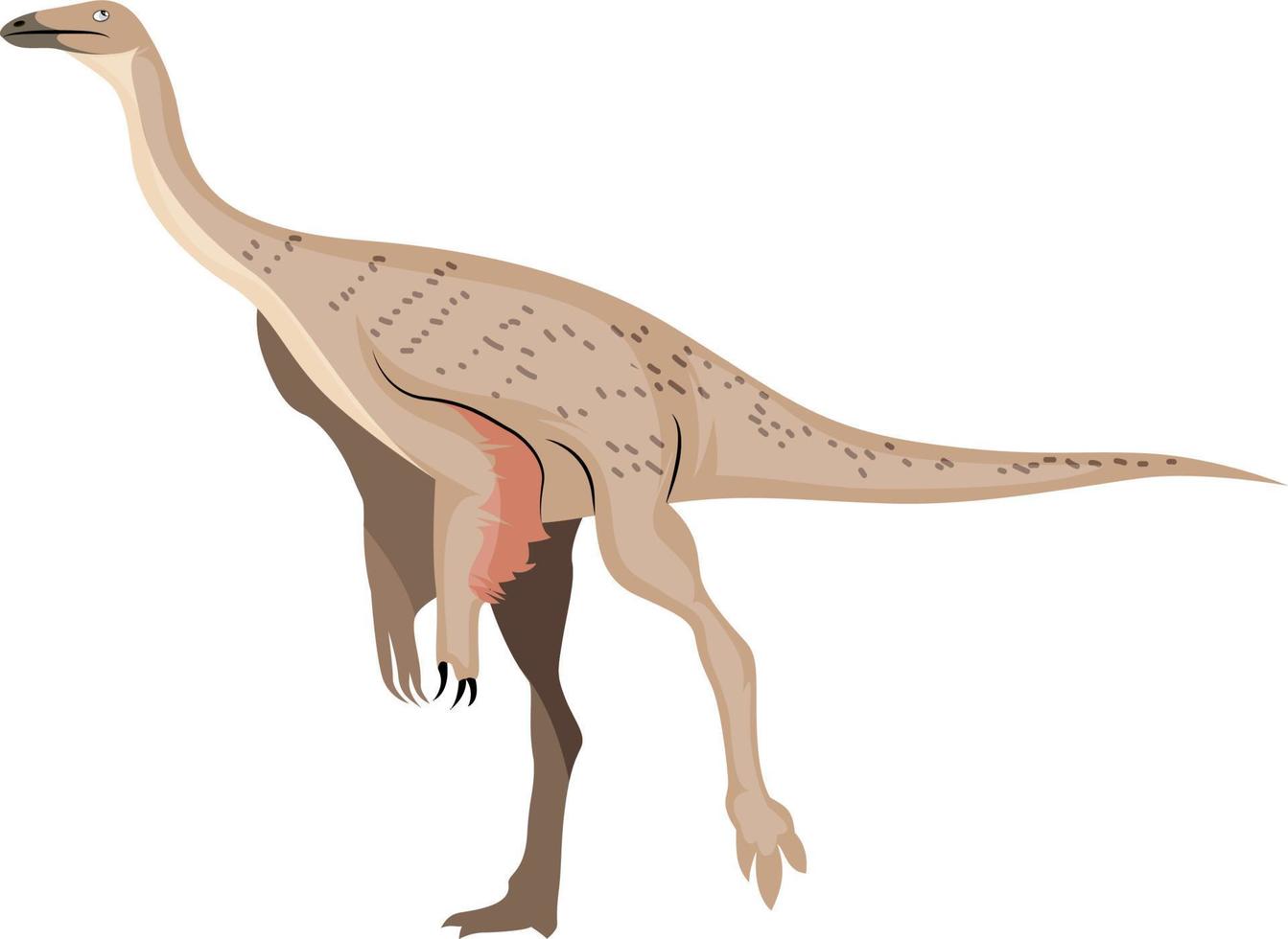 ornithomimus, ilustración, vector sobre fondo blanco.