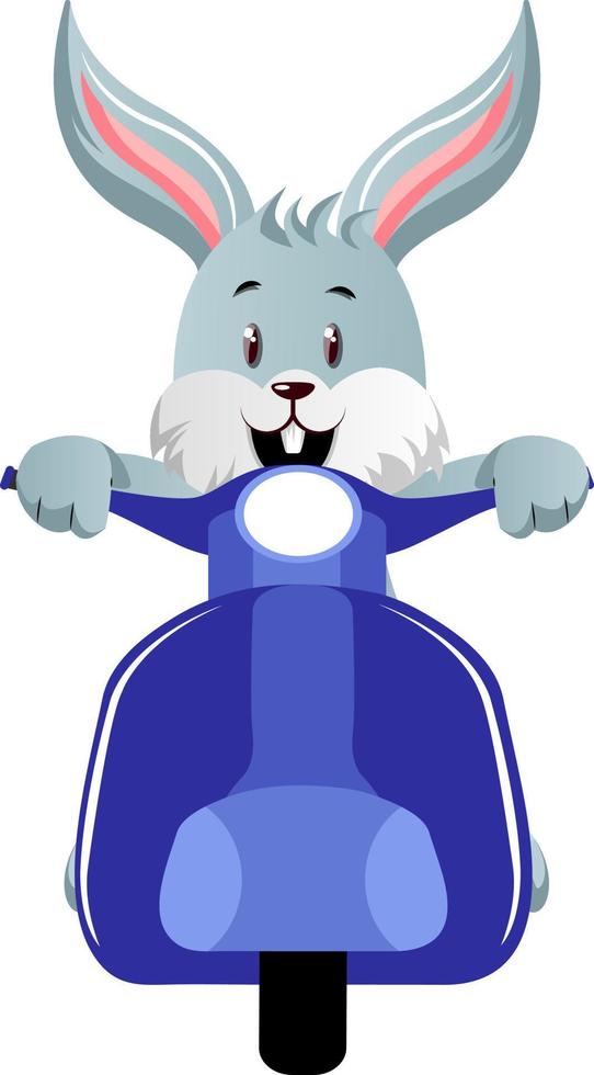 Bunny with scooter, illustration, vector on white background.