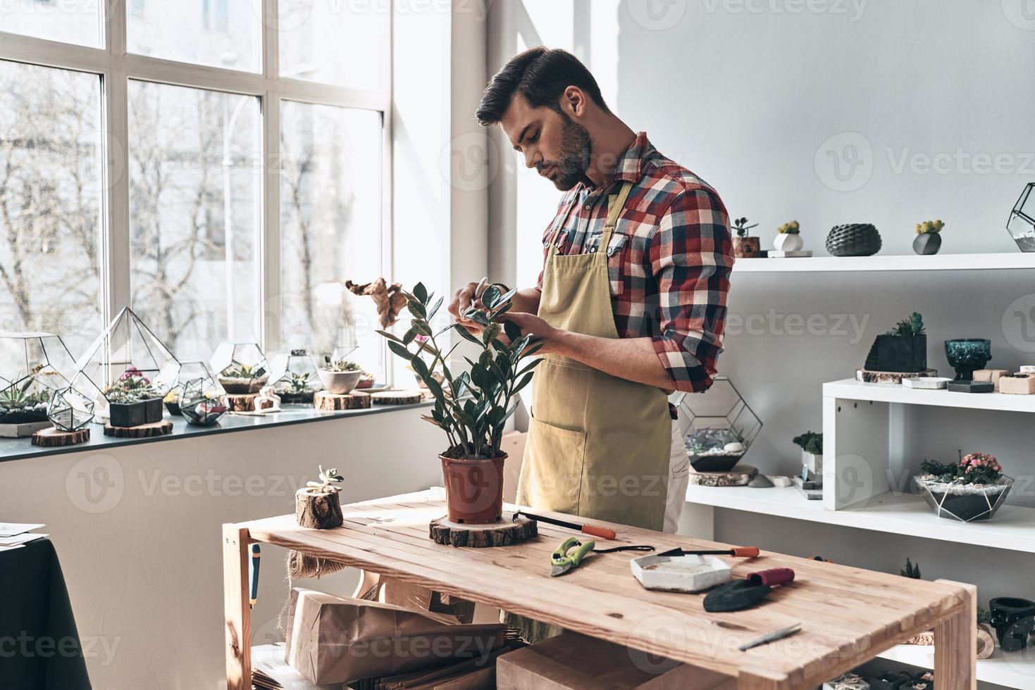 Everything grows with love. Handsome young man in apron working with potted plant while standing in small garden center photo