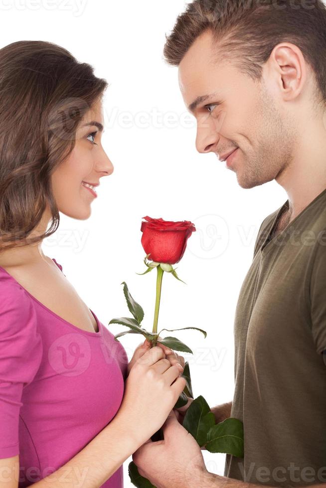 First date. Cheerful young loving couple holding a red rose and smiling while standing face to face and isolated on white background photo