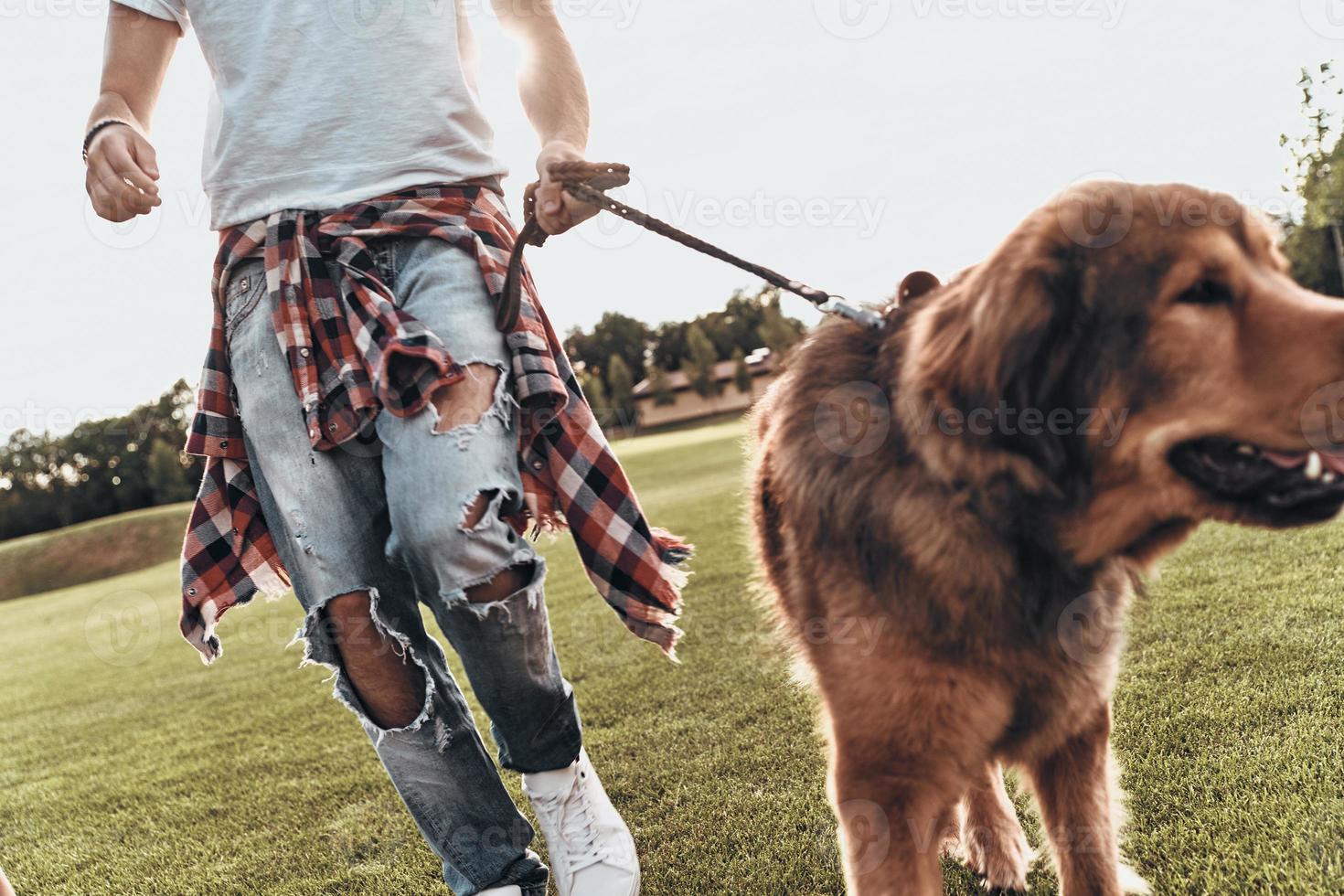 On the go.  Close-up of young man walking with his dog while spending free time in the park photo